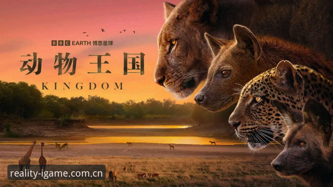 加雷斯·索斯盖特纪录片观看与思考操作教程——从爱游戏平台理解“男性圈层”现象